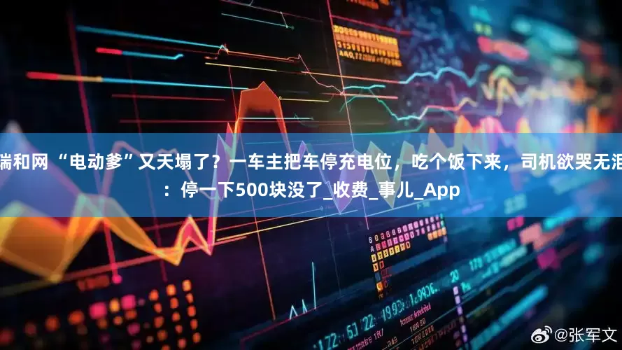瑞和网 “电动爹”又天塌了？一车主把车停充电位，吃个饭下来，司机欲哭无泪：停一下500块没了_收费_事儿_App